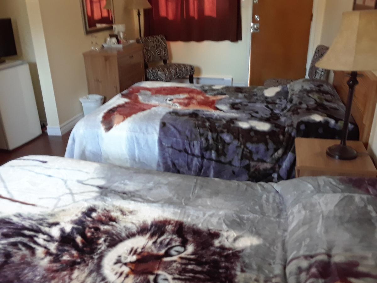 Mountain View Motel Barrys Bay Exterior foto